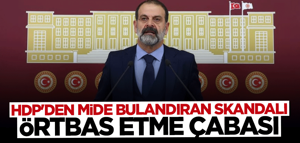 HDP'den tecavüzü örtbas etme çabası!