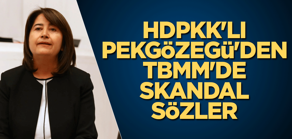 HDPKK'lı Pekgözegü'den TBMM'de skandal sözler