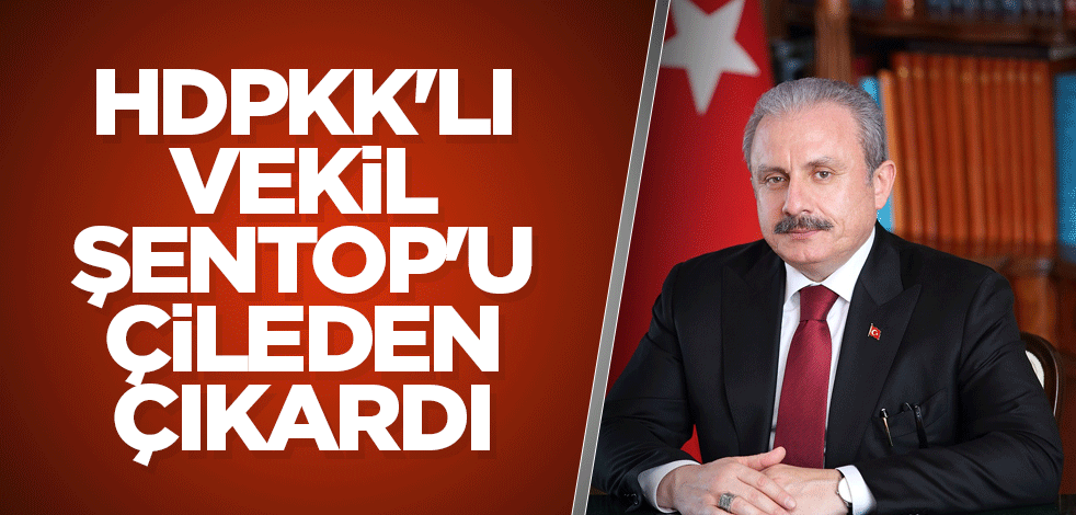 HDPKK'lı vekil, Şentop'u çileden çıkardı
