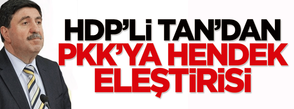 HDP'li Altan Tan'dan PKK'ya hendek eleştirisi