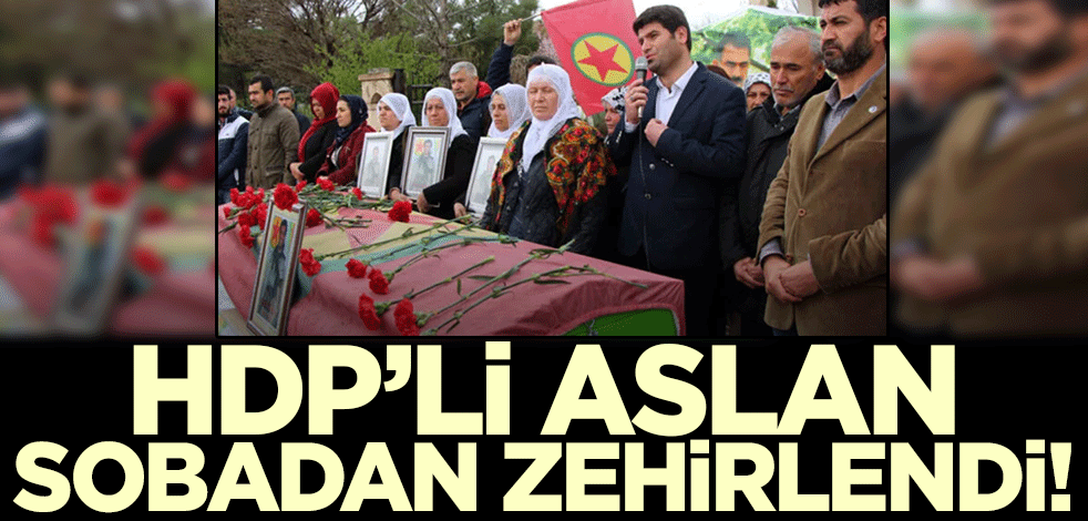 HDP'li Aslan sobadan sızdan gazdan zehirlendi!