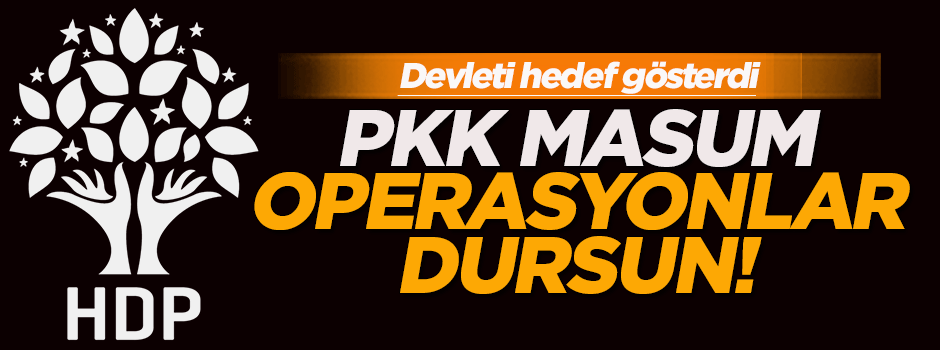 HDP'li Baluken operasyonların durmasını istedi