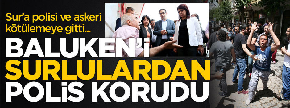 HDP'li Baluken Sur'da sert tepki gördü