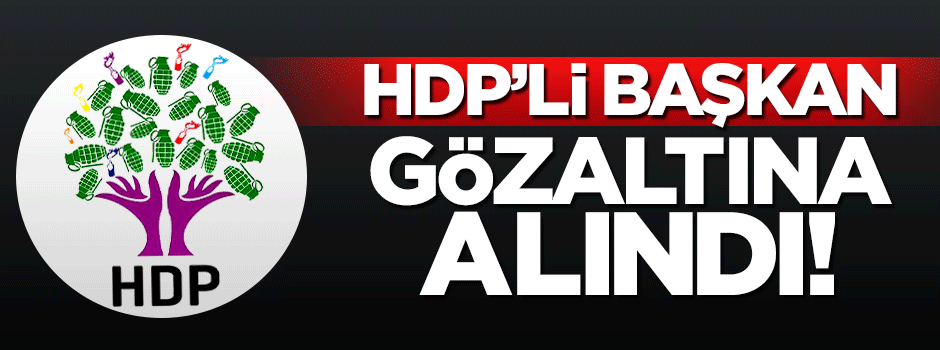 HDP'li Başkan Fazıl Türk gözaltına alındı
