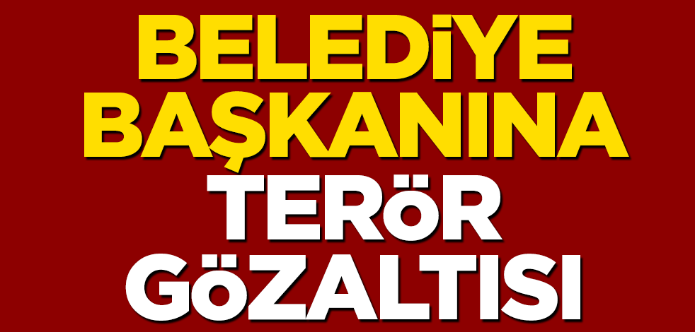 HDP'li Batman Belediye Başkanı Mehmet Demir'e terör gözaltısı