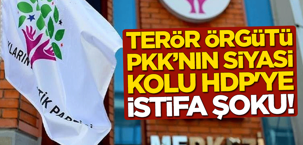 HDP'li Belediye Başkanı Ayhan Eren, istifa etti