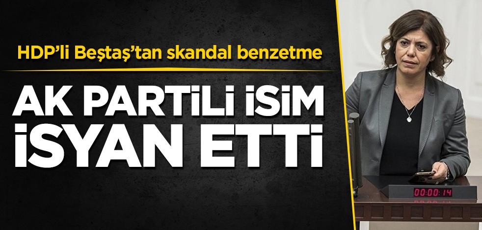 HDP'li Beştaş'ın skandal benzetmesine AK Partili isim isyan etti