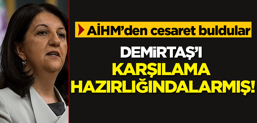 HDP'li Buldan AİHM'den yüz buldu: Demirtaş'ı karşılamaya hazırlanıyoruz!
