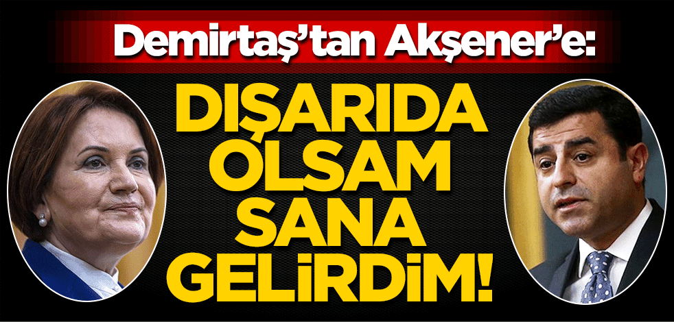 HDP'li Demirtaş'tan Meral Akşener'e: Dışarda olsam sana gelirdim