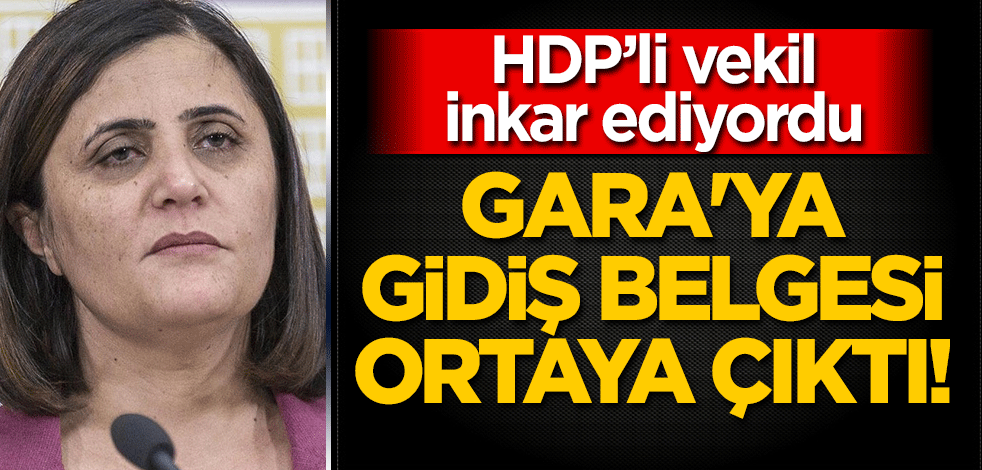 HDP'li Dirayet Dilan Taşdemir'in Gara'ya gidiş belgesi ortaya çıktı!