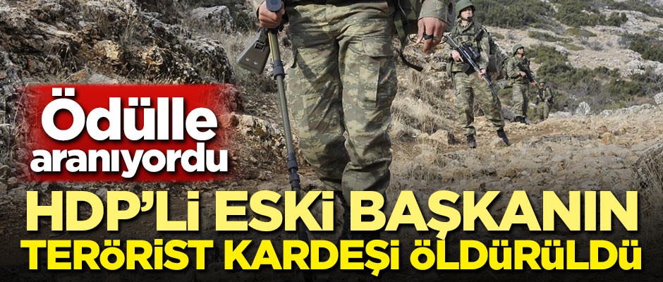 HDP'li eski başkanın terörist kardeşi öldürüldü