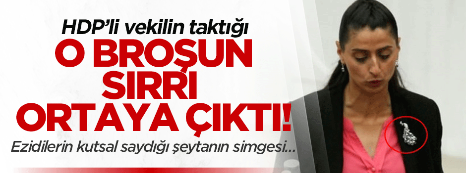 HDP'li Ezidi vekilin taktığı broşun sırrı ortaya çıktı!