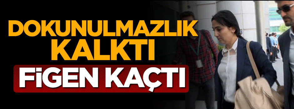 HDP'li Figen Yüksekdağ Almanya’ya gitti