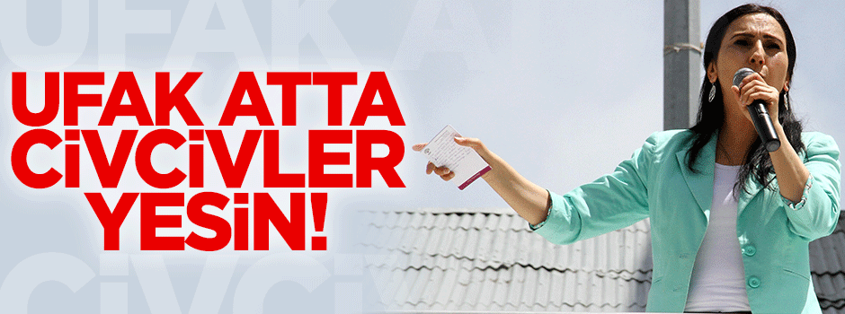 HDP'li Figen Yüksekdağ'dan dayanaksız iftira