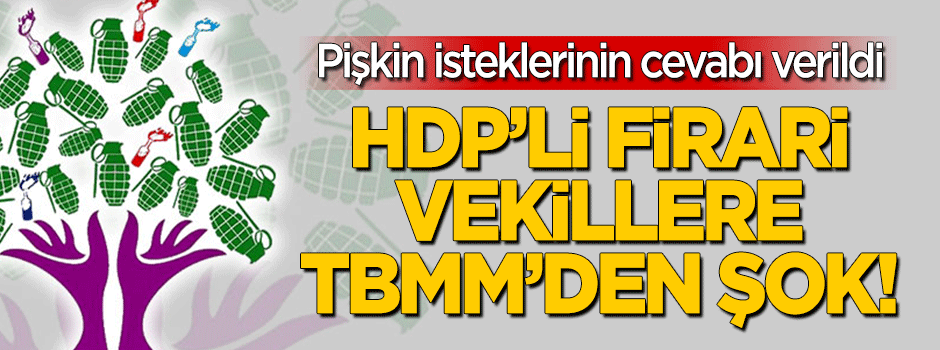 HDP'li firari vekillerin pişkin isteğine TBMM'den şok!