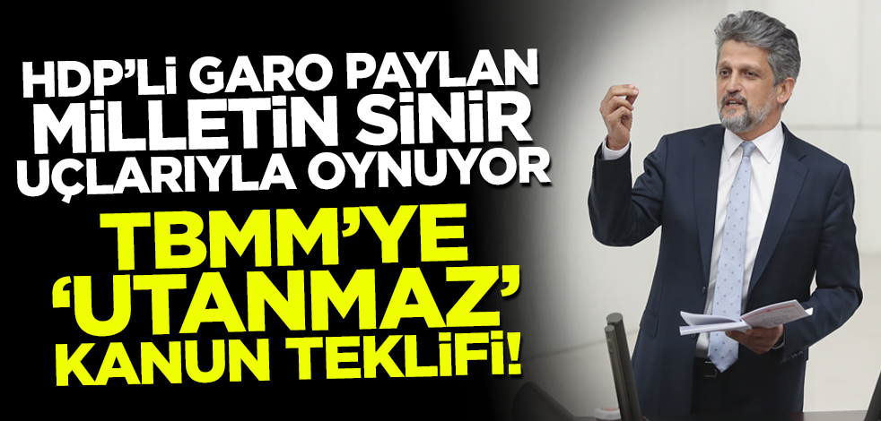 HDP'li Garo Paylan milletin sinir uçlarıyla oynuyor! TBMM'ye 'utanmaz' kanun teklifi