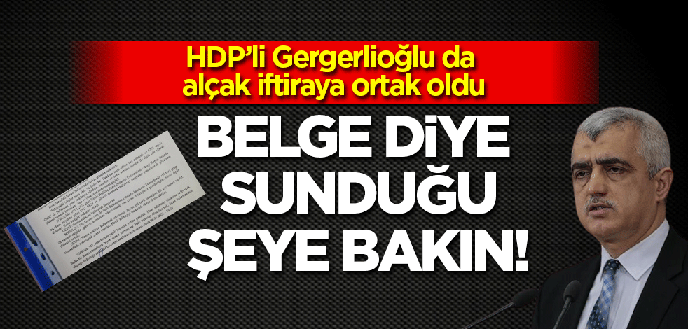 HDP'li Gergerlioğlu da alçak 'çıplak arama' yalanına ortak oldu: Belge diye sunduğu şeye bakın!