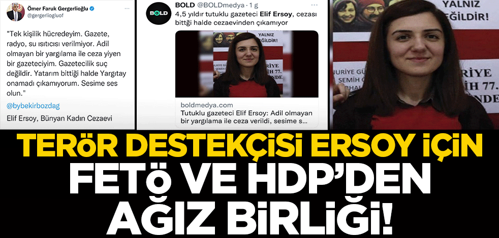 HDP'li Gergerlioğlu ile FETÖ'nün terör yandaşına ortak desteği! Kim bu Elif Ersoy?