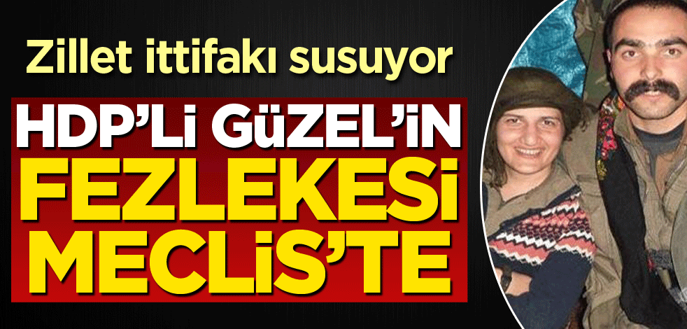 HDP’li Güzel’in fezlekesi Meclis'te