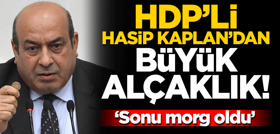 HDP'li Hasip Kaplan'dan büyük alçaklık! Devleti tehdit etti