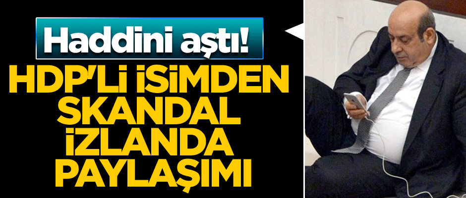 HDP'li isimden skandal İzlanda paylaşımı... Haddini aştı!