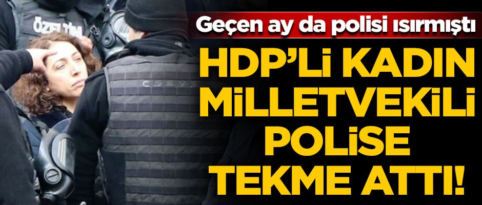 HDP'li kadın milletvekili, polise tekme attı!