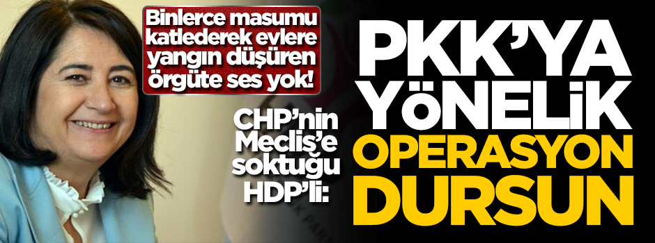 HDP'li Kemalbay: Operasyonlar dursun