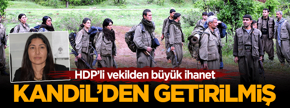 HDP'li Leyla Birlik'in şoförü de Kandil'den