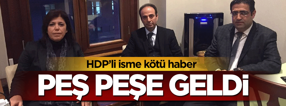 HDP'li Meral Danış Beştaş'a bir dava daha