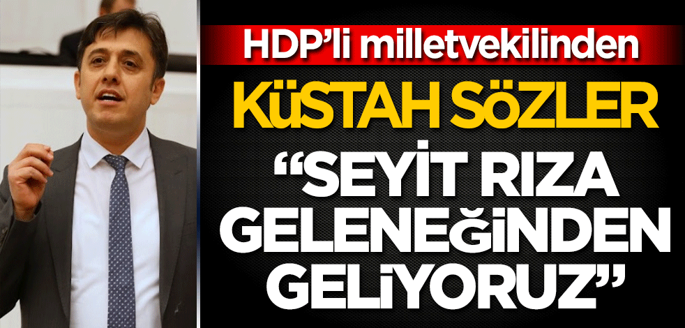 HDP’li milletvekilinden küstah sözler! Biz Seyit Rıza geleneğinden geliyoruz
