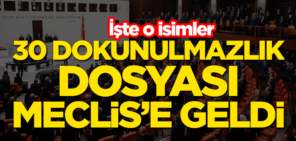 HDP'li milletvekillerine ait 30 dokunulmazlık dosyası Meclis'e geldi... İşte o isimler