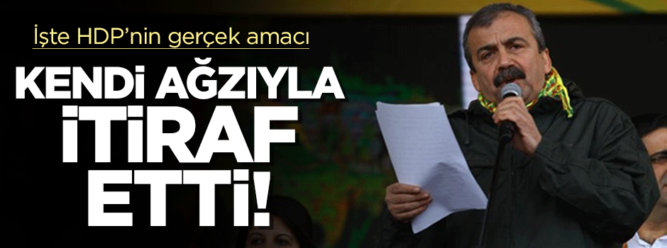 HDP'li Önder asıl amaçlarını açıkladı