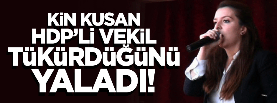 HDP'li Özkan skandal açıklamasından dolayı özür diledi
