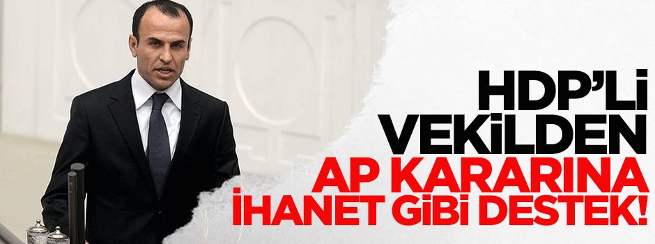 HDP'li Sarıyıldız: AP'nin Ermeni kararını yerinde görüyoruz