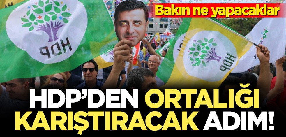 HDP'li Saruhan Oluç: Sokak faaliyetlerine geri dönüyoruz