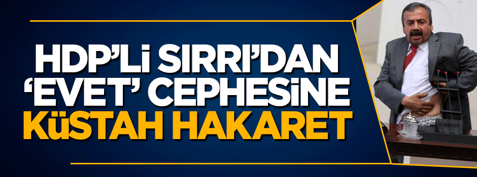 HDP'li Sırrı Süreyya'dan 'Evet' cephesine küstah hakaret