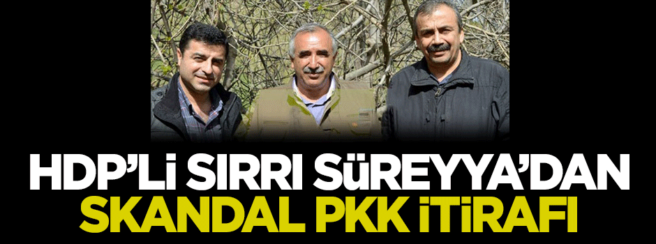 HDP'li Sırrı Süreyya'dan skandal PKK itirafı
