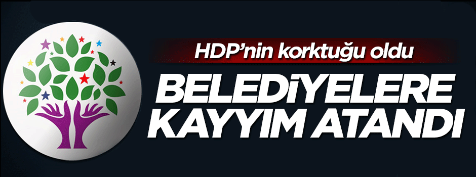 HDP'li Sur ve Silvan belediyelerine kayyım atandı