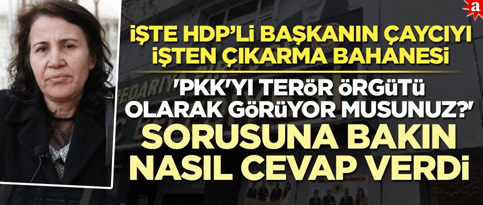 HDP'li Suruç Belediye Başkanı çaycıyı neden işten çıkardığını açıkladı