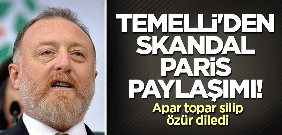 HDP'li Temelli'den skandal Paris paylaşımı! Apar topar silip özür diledi