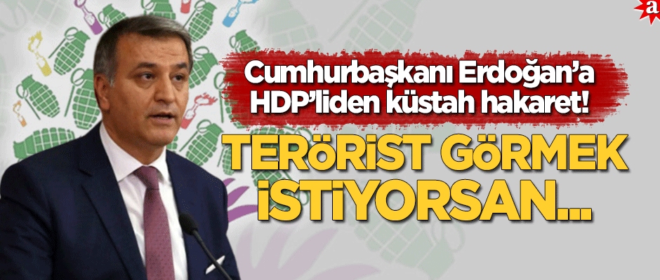 HDP'li Toğrul'dan Cumhurbaşkanı Erdoğan'a küstah hakaret: Terörist görmek istiyorsan...