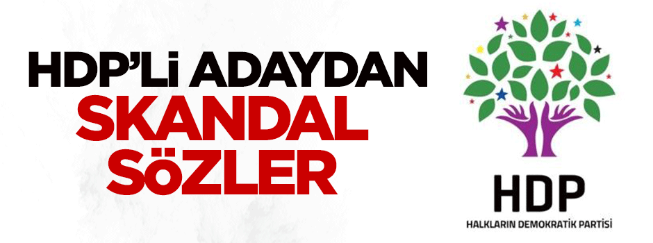 HDP'li vekil adayından skandal sözler