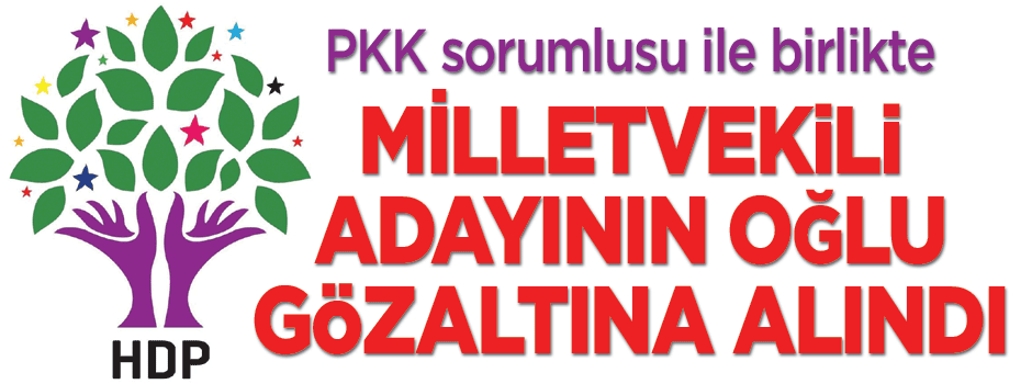 HDP'li vekil adayının oğlu gözaltında
