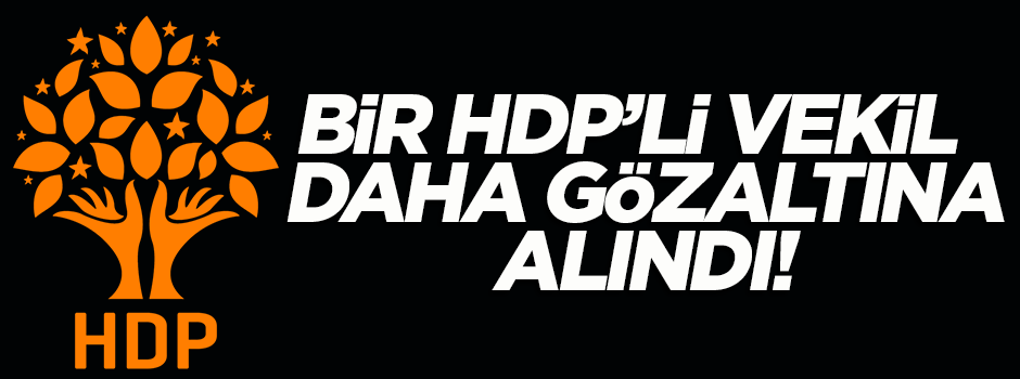 HDP'li vekil Alican Önlü de gözaltına alındı