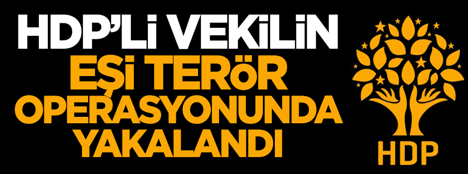 HDP'li vekil Birlik'in eşi terör operasyonunda yakalandı
