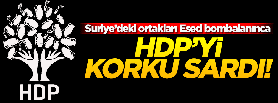HDP'li vekil: Bu saldırı Esed'i devirmek için değil