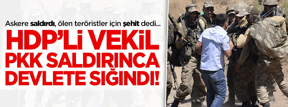 HDP’li vekil çatışmanın ortasında kalınca devlete sığındı