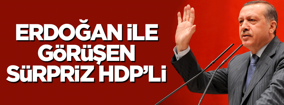 HDP'li vekil Cumhurbaşkanı Erdoğan ile görüştü