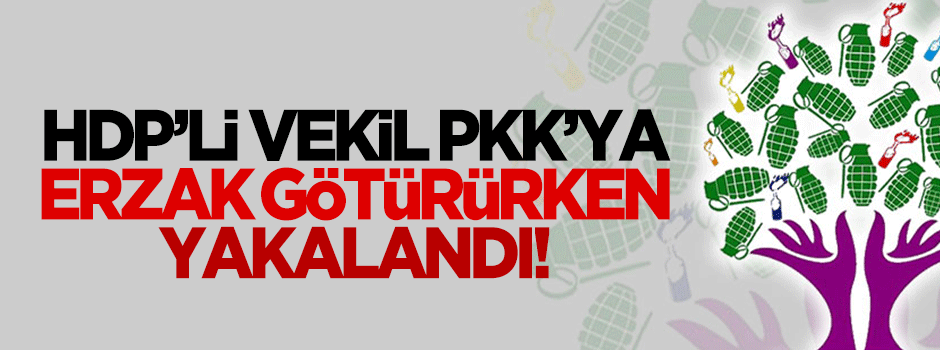HDP'li vekil PKK'ya erzak götürürken yakalandı!
