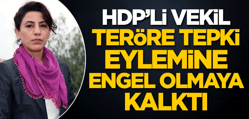 HDP'li vekil, teröre tepki eylemine engel olmaya kalktı